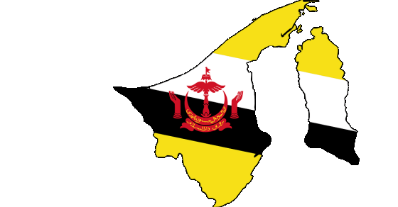 63 Interesting and Fun Facts about Brunei