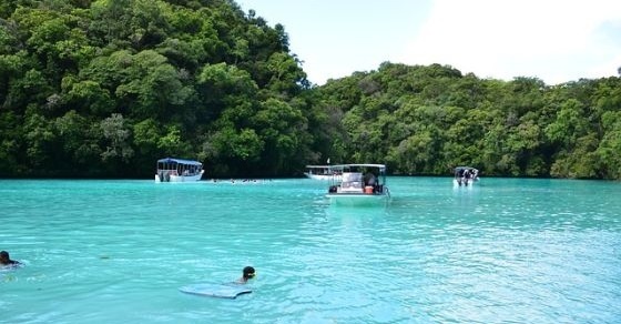 54 Interesting and Fun Facts about Palau