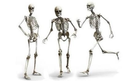 Bones –
  Interesting and Fun Facts
