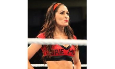 Brie Bella
  – Interesting and Fun Facts