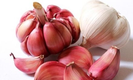 Garlic – Interesting and Fun Facts