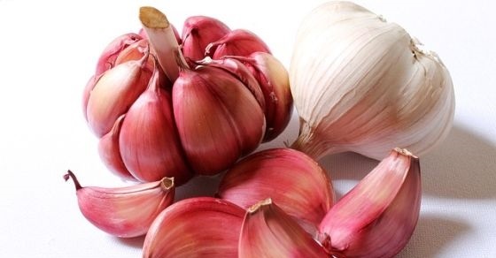 Garlic – Interesting and Fun Facts