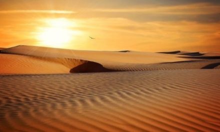 Deserts –
  Interesting and Fun Facts