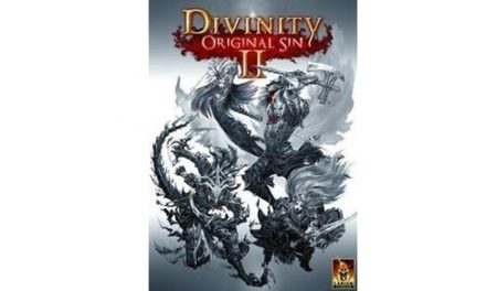 Divinity:
  Original Sin II – Interesting and Fun Facts