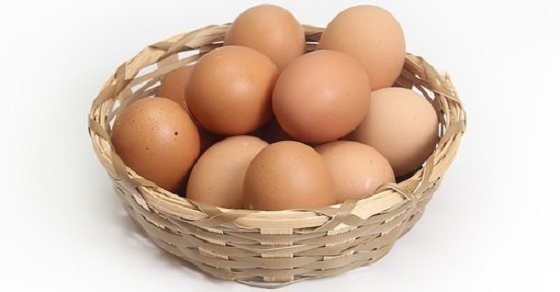 Eggs –
  Interesting and Fun Facts
